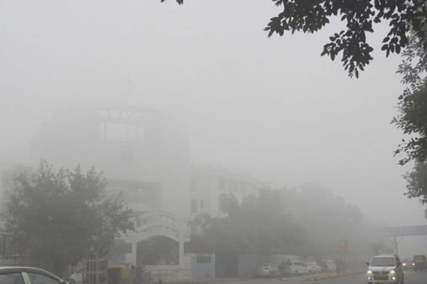 யாழ்ப்பாண மாநகர சபைக்கு நீதிமன்றம் பிறப்பித்த அதிரடி உத்தரவு | Court Issues Order To Jaffna Municipal Council