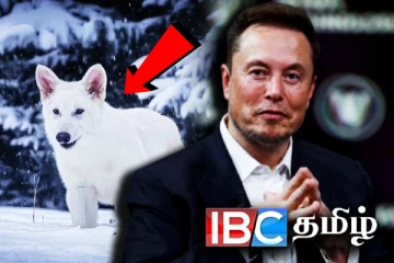 12500 ஆண்டுகளுக்கு முன் அழிந்த உயிரினத்துக்கு புத்துயிர் அளித்து சாதனை: எலான் மஸ்க் விடுத்த வேண்டுகோள்