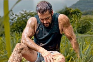 பாலிவுட் நடிகர் சல்மான் கானுக்கு பாம்பு கடி! உடல்நிலை குறித்து வெளியான முக்கிய தகவல்