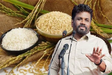 அரிசி விற்பனை தொடர்பில் ஜனாதிபதி அநுரவின் அதிரடி தீர்மானம்