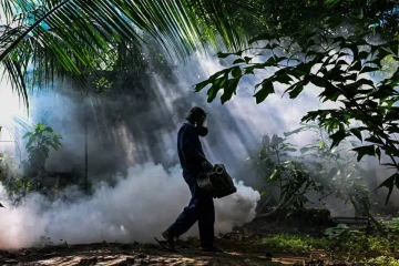 වසරේ මුල් මාස 6 තුළ වැඩිම ඩෙංගු මදුරු හමුවූයේ පාසල් පරිශ්‍රවලින්