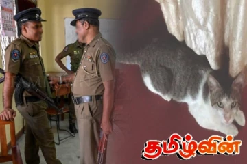 இலங்கையில் வியப்பை ஏற்படுத்திய பூனை - பொலிஸ் அதிகாரி நெகிழ்ச்சி