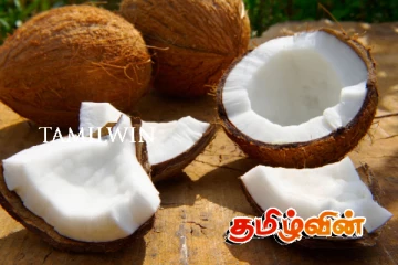 தேங்காய் விலையில் மாற்றம்