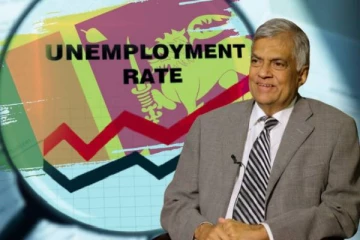 இலங்கையில் அதிகரிக்கும் வேலைவாய்ப்புக்கள்! ரணில் வழங்கிய உறுதி