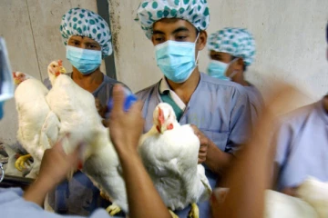 சீனாவில்   வேகமாக அதிகரிக்கும் மற்றுமொரு தொற்று!