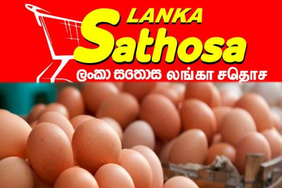 முட்டை விலை தொடர்பில் விடுக்கப்பட்ட கோரிக்கை | Egg Producers Demand Minimum Price