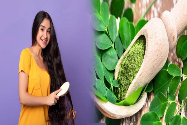 தலைமுடி வளர்ச்சிக்கு முருங்கை இலையை இவ்வாறு பயன்படுத்தி பாருங்க... | Drumstick Leaf Use In Hair Growth Good News