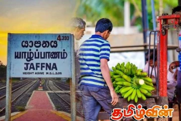 யாழ்.நீர்வேலி வாழைகுலைச் சந்தை தராசு பறிமுதல்