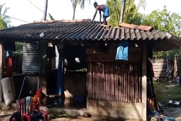 யாழில் மினி சூறாவளியால் மரங்கள் முறிந்து வீழ்ந்து வீடுகள் சேதம்!