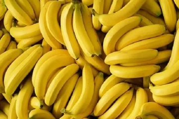யாழில் வாழைப்பழத்தால் குவிந்த டொலர்கள்