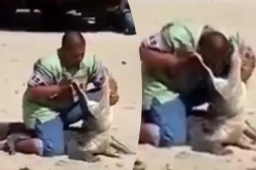 நடுரோட்டில் முதலையின் வாயில் தலையை விட்ட நபர்... நடந்தது என்ன தெரியுமா?