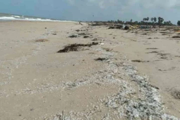 மன்னாரில் கரையொதுங்கிய ஆபத்தான பொருட்கள்!