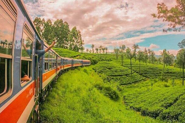 கொழும்பில் இருந்து பதுளை வரை புதிய புகையிரத சேவை ஆரம்பம்! | New Train Service Starts From Colombo To Badulla