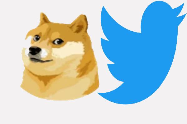 டுவிட்டரில் எலான் மஸ்க் செய்துள்ள அதிரடி மாற்றம்! | Elon Musk Change New Twitter Logo