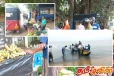 திருகோணமலை மாவட்ட மக்களின் இயல்பு வாழ்க்கை வழமைக்கு திரும்பியது