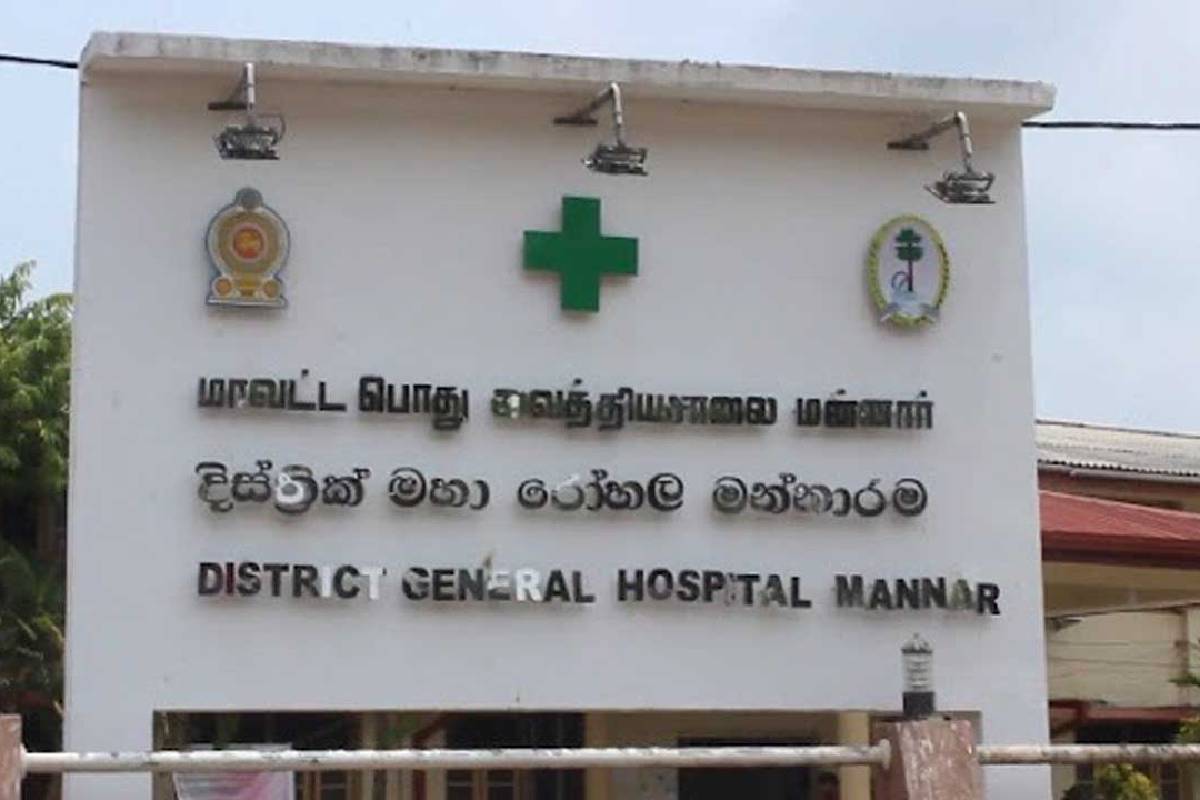 மன்னார் கடலில் படகு விபத்து : கடங்றொழிலாளர் ஒருவர் கடலில் மூழ்கி பலி! | 2 Fishing Boats Collide Fisherman Killed In Mannar