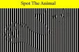 Optical illusion: செலவில்லாமல் கண்பார்வையை சோதிக்கலாம்-இதில் என்ன மிருகம் தெரிகிறது?