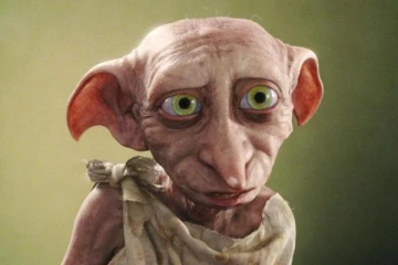 90 ஆண்டுகளுக்கு பிறகு முதன் முறையாக டோபி போன்ற தோற்றத்தில் பிறந்த ஆர்ட்வார்க்!