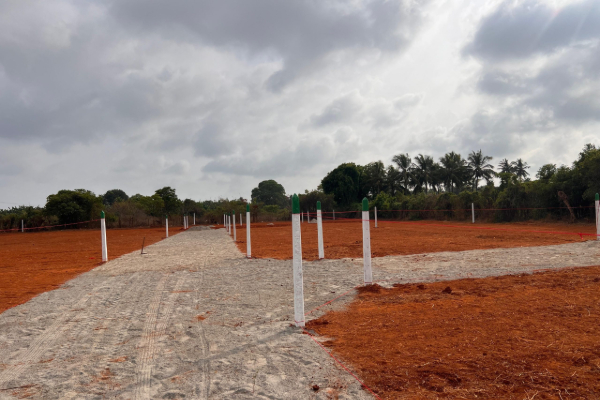 காணி வரைபடங்கள் இணையத்தளத்தில்: வெளியானது அறிவிப்பு | Land Maps To Be Available Online From August 1St