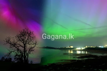 ගිය සති අන්තයේ මග හැරුණු ඕනෑම කෙනෙකුට ශුභ ආරංචියක්.(PHOTOS)