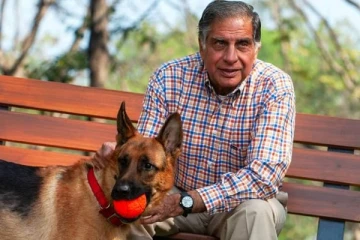 ரத்தன் டாடாவின் 10,000 கோடி சொத்து; செல்ல நாய், சமையல்காரருக்கும் பங்கு - உயிலில் இருப்பது என்ன?