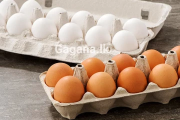 හෙට සිට ක්‍රියාත්මක පරිදි සතොස බිත්තර මිලත් ඉහළ දැමේ..! නව මිල ගණන් මෙන්න..