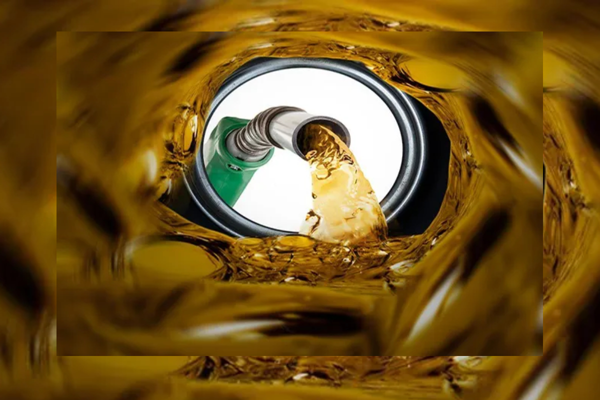 குறைந்த விலைக்கு விற்கப்படும் நெல்! மன்னாரில் விவசாயிகளுக்கு வெளியான அறிவிப்பு | Don T Sell Paddy At Low Price