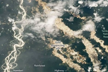 அமேசானின் `தங்க நதிகள்` - நாசா வெளியிட்ட அரிய புகைப்படங்கள்