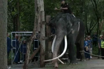 முத்துராஜாவால் இலங்கைக்கு ஏற்பட்ட தலைகுனிவு