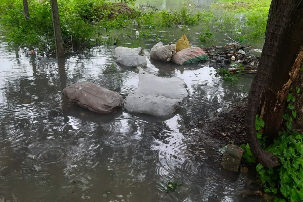 யாழில் வெள்ள நீரில் விஷமிகளின் மோசமான செயல்! | Bad Act Of Poisoners In Yali Flood Water