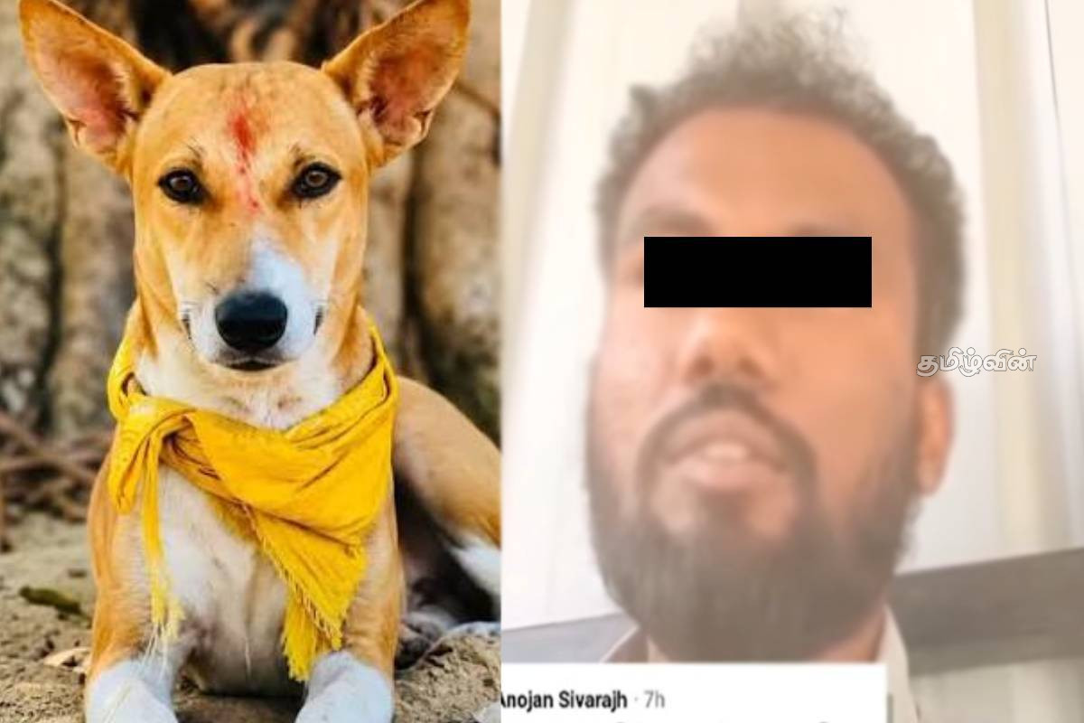 எனது மகனை மீட்டுத் தாருங்கள்: மரண தண்டனை விதிக்கப்பட்ட அனோஜனின் தாயார் ஜனாதிபதியிடம் கண்ணீருடன் கோரிக்கை | Anojan S Mother S Heartfelt Plea