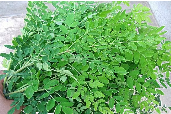 தலைமுடி அடர்த்தியாக வளர வேண்டுமா..! இதை மட்டும் செய்தால் போதும் | Superfoods Stop Your Hairfall Tips For Hair Growth