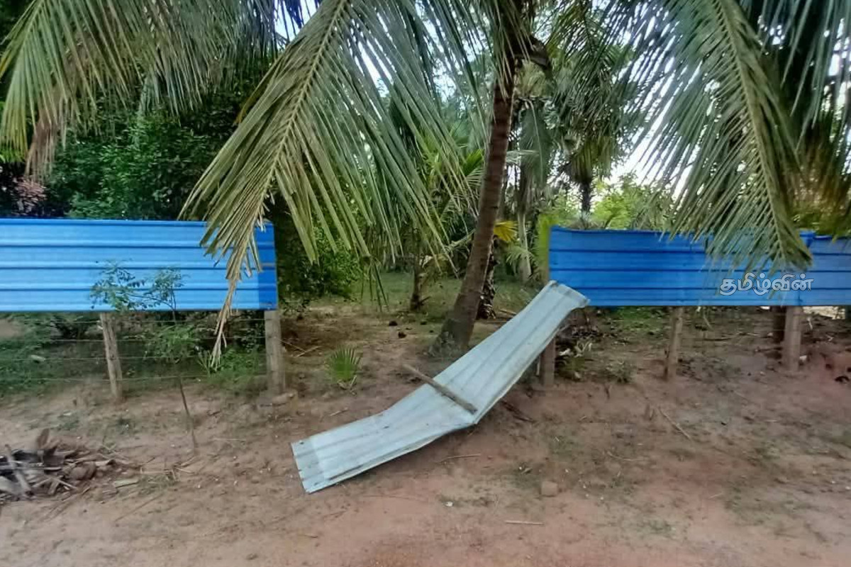 புதுக்குடியிருப்பில் கிராமத்துக்குள் புகுந்த யானை - கடையை உடைத்து சேதம் | Elephant Enters Village In Puthukkudiyiruppu புதுக்குடியிருப்பில் கிராமத்துக்குள் புகுந்த யானை - கடையை உடைத்து சேதம் | Elephant Enters Village In Puthukkudiyiruppu