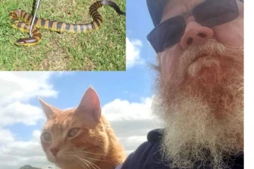 வீட்டில் விசித்திரமாக அங்குமிங்கும் சுற்றி திரிந்த பூனை! பிரிட்ஜ் இடுக்கில் உரிமையாளர் கண்ட காட்சி