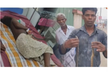 7 வயது சிறுவனை ஒரே நேரத்தில் கடித்த 2 பாம்புகள் - திருத்தணியில் பரபரப்பு