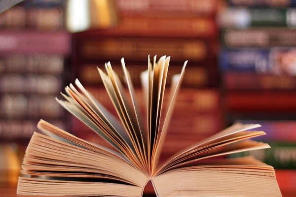 ஆப்கானிஸ்தானில் பெண்கள் எழுதிய புத்தகங்களுக்கு தடை | Books Written By Women Banned In Afghanistan