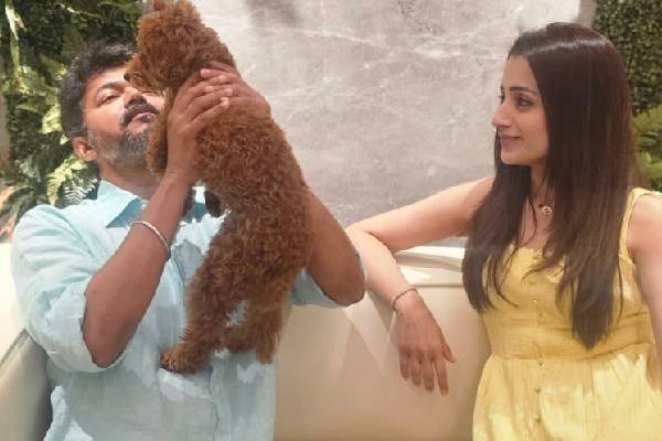 என் தனிப்பட்ட வாழ்க்கையை பற்றி விவாதிப்பது சரியல்ல!! நடிகை திரிஷா கண்டனம்... | Trisha Reacts Bjp Leader Nainar Nagendran Remark என் தனிப்பட்ட வாழ்க்கையை பற்றி விவாதிப்பது சரியல்ல!! நடிகை திரிஷா கண்டனம்... | Trisha Reacts Bjp Leader Nainar Nagendran Remark