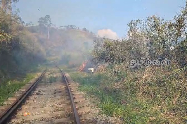 மலையக தொடருந்து பாதையை அண்டிய வனப்பகுதியில் தீப்பரவல்! | Fire Breaks Out In Forest Area Hatton Railway Line
