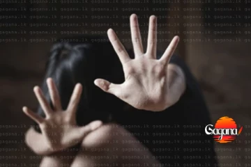 ලංකාව හොයන් ආපු පුංචි දැරියටකට උඩු ගුවනේදිම ලිංගික අපයෝජනයක් කරපු පුද්ගලයා අත්අඩංගුවට