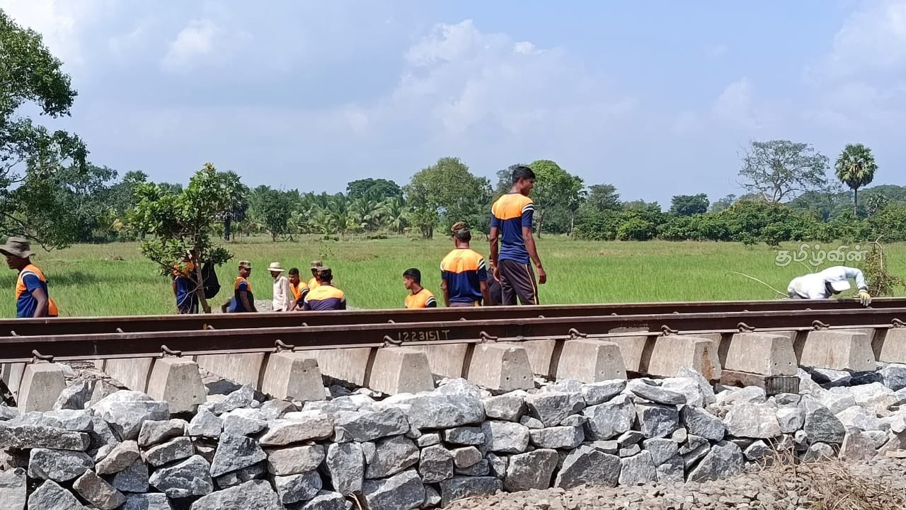 வவுனியா - யாழ்ப்பாணம் தொடருந்து பாதை சீரமைக்கும் நடவடிக்கைகள் ஆரம்பம் 4 Gallery