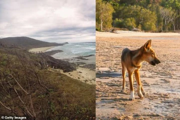 அவுஸ்திரேலியாவில் சுயநினைவின்றிக் கிடந்த கனேடிய இளம்பெண்: பொலிசார் தெரிவித்துள்ள செய்தி