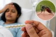 තත්ත්වය තවත් දරුණු අතට - මෙතෙක් ඉතිහාසයේ වාර්තා වූ වැඩිම රෝගීන් ගණන වාර්තා කරයි ධාරිතාව ඉක්මවයි