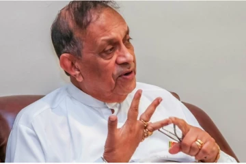 19ஆவது திருத்தச் சட்டத்தை உடன் நடைமுறைப்படுத்த வேண்டும்: கரு ஜயசூரிய