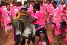 உலக புகழ்பெற்ற பாலமேடு ஜல்லிக்கட்டு தொடங்கியது- நேரலை காட்சிகள்