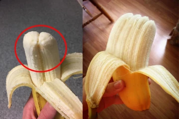 இரட்டை வாழைப்பழம் சாப்பிட்டால் இரட்டை குழந்தை பிறக்குமா?