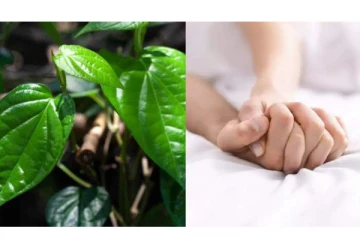 பாலுணர்வை அதிகரிக்க வெற்றிலை போதும் - இப்படி ட்ரை பண்ணி பாருங்களே..!