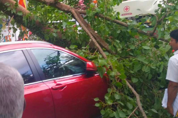 வைத்தியசாலை ஆம்புலன்ஸ் மீது விழுந்த பாரிய மரக்கிளை | Tree Branch Fell On A Badulla Hospital Ambulance