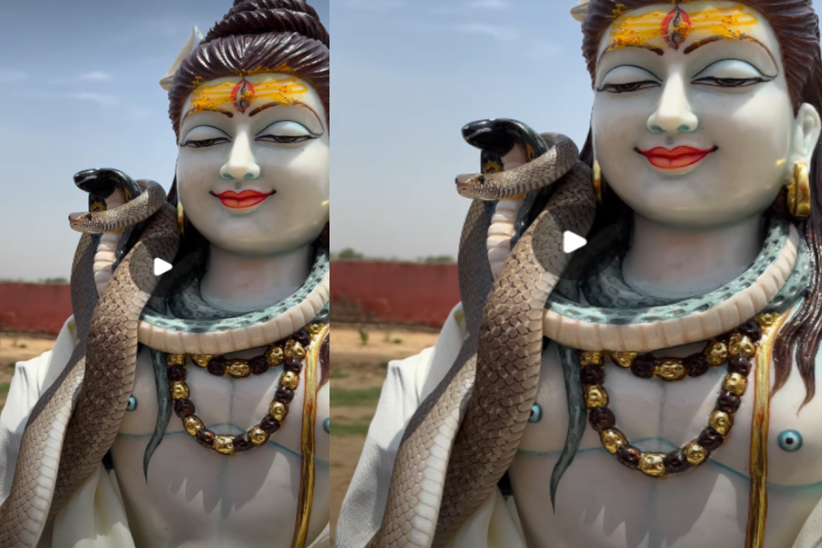 சிவன் கழுத்தில் சுற்றியிருந்த விஷ பாம்பு - வைரலாகும் காணொளி | A King Cobra Snake Wrapped Around Lord Shiva சிவன் கழுத்தில் சுற்றியிருந்த விஷ பாம்பு - வைரலாகும் காணொளி | A King Cobra Snake Wrapped Around Lord Shiva