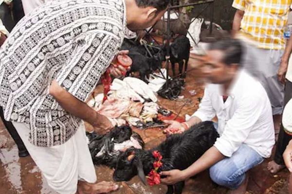 நேர்த்திக்கடனில் ஆட்டை பிடித்துக் கொண்டிருந்த நபரின் தலை துண்டான பரிதாபம்! பரபரப்பை ஏற்படுத்திய அதிர்ச்சி | India News Today