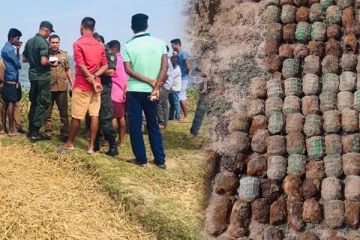 முல்லைத்தீவில் புதைக்கப்பட்டிருந்த நிலையில் அடையாளம் காணப்பட்டுள்ள 176 கைக்குண்டுகள்